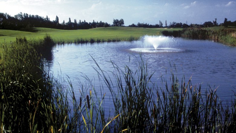 A golf course with a pond and a fountain, surrounded by grass and trees.