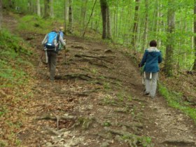 Wurzelweg, &copy; Karen Jesserer