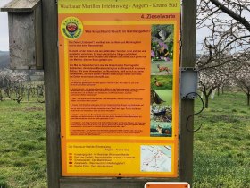 Schautafel am Marillen-Erlebnisweg in Krems-Angern, &copy; Donau N&Ouml; Tourismus/JS