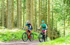 MTB_Wald, &copy; Mostviertel