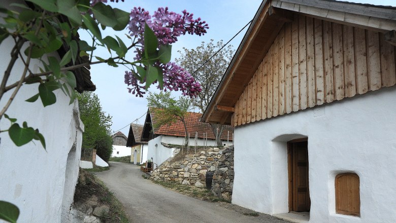 A picturesque wine cellar lane with white press houses and blooming lilacs in the foreground.