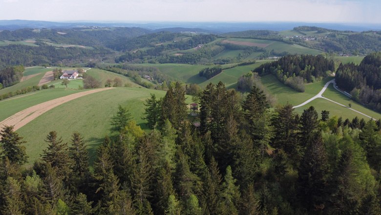 Landscape with hills, forests and fields towards southern Burgenland and eastern Styria.