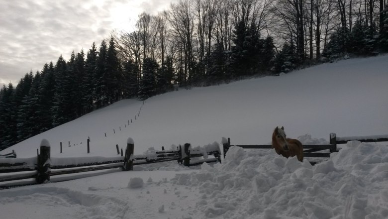 Vacation cottage Zwickelreith, © Ferienhaus Zwickelreith