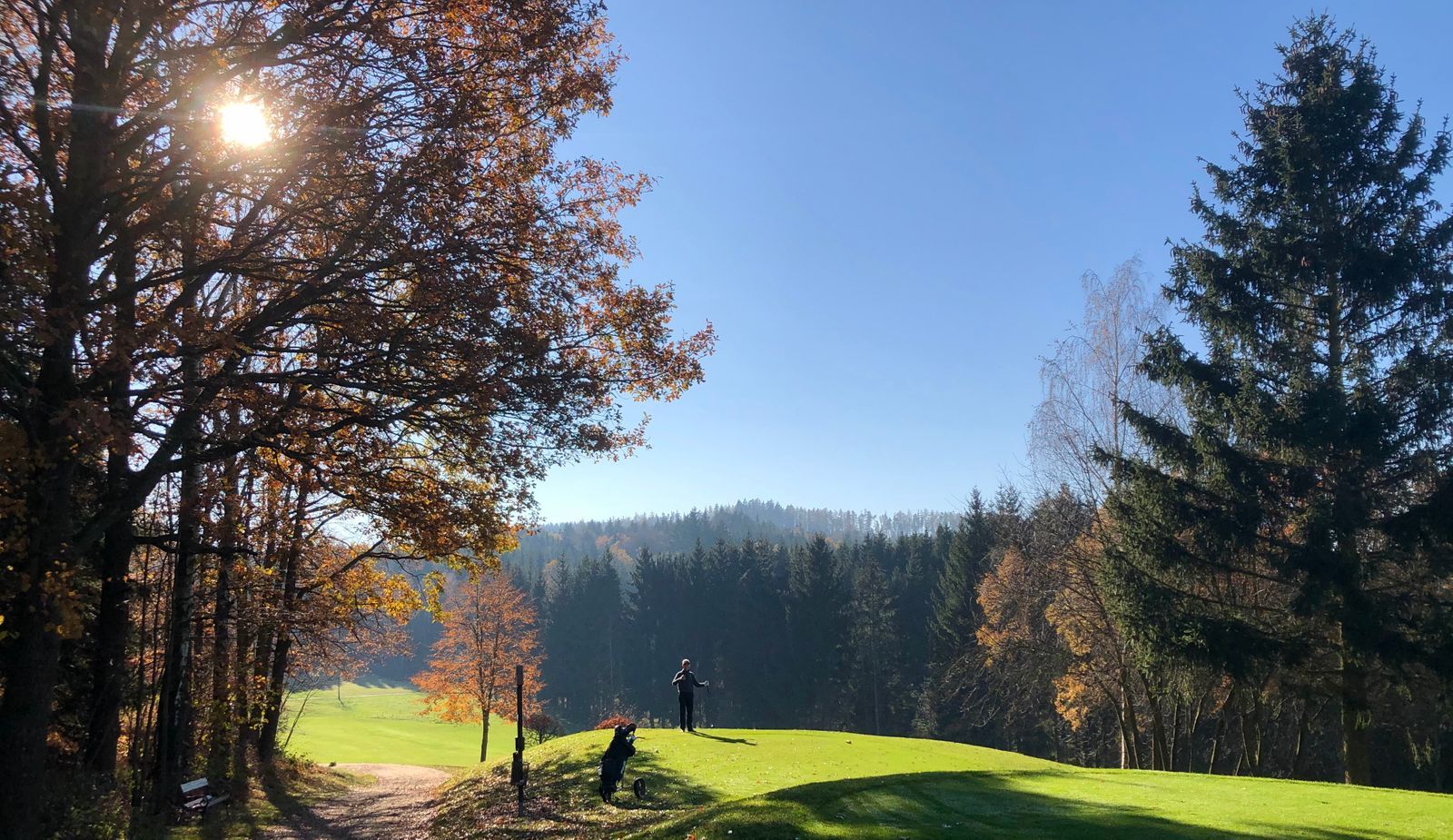 Golfers on a sunny fall course, surrounded by trees and forest.