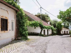 Tut Gut Route 1 Rohrendorf, &copy; Wachau-Nibelungengau-Kremstal