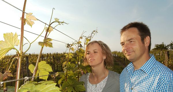 Lorenz Bauer Winery