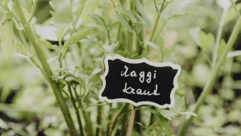 Close-up of green herbs with a sign saying 'Maggikraut'.