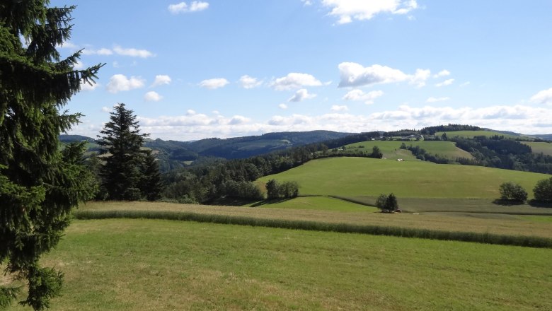 Green hills and trees under a blue sky with clouds.