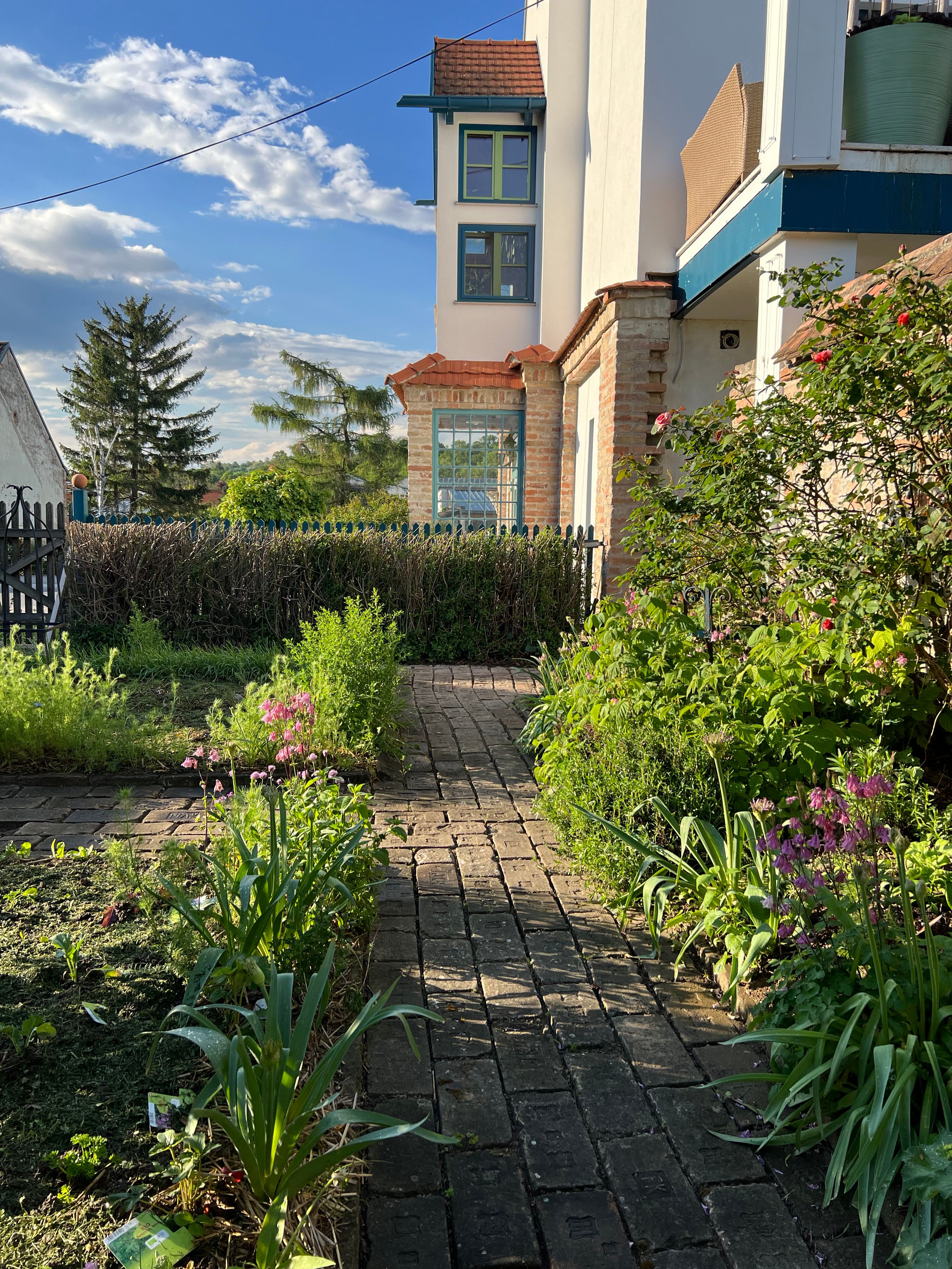 Enjoy nature in the garden