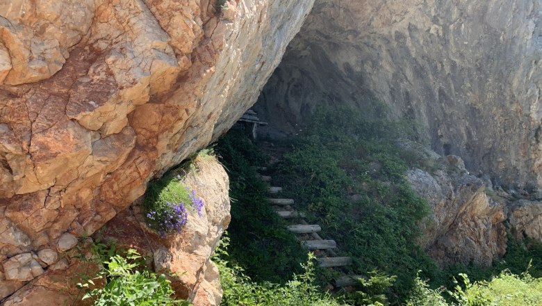 Entrance to a cave with rocks and green plants