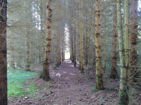Blockheideweg, &copy; Marktgemeinde Hoheneich