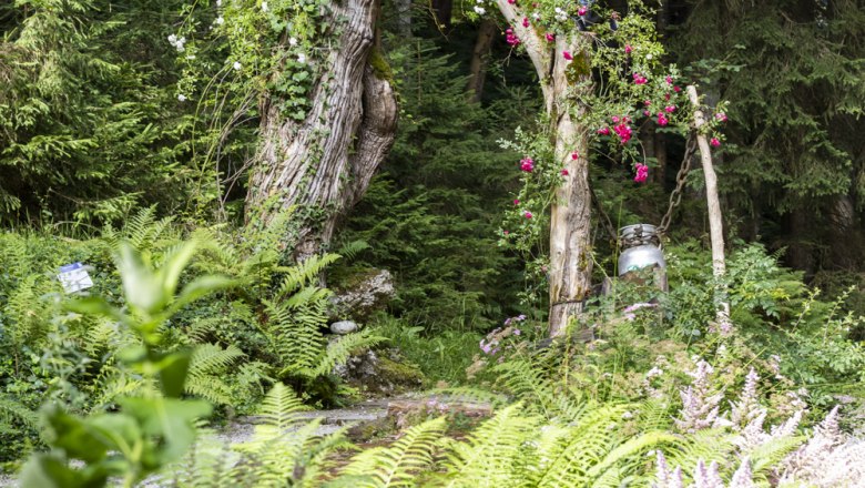 TVA Produktions- und Vertriebs GmbH, &copy; Theo Kust