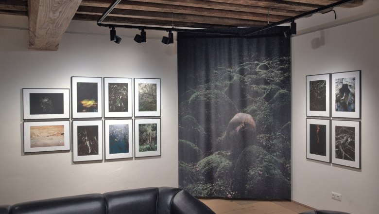 Interior view of an art gallery with photographs on the walls and black leather sofas.