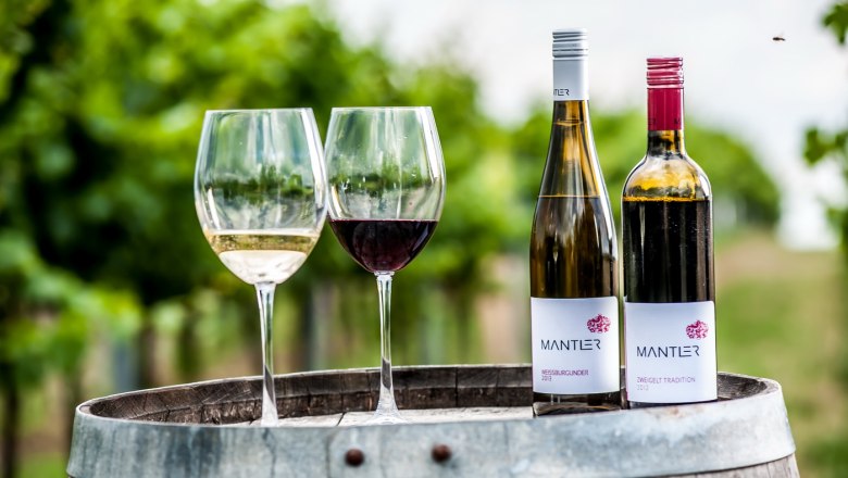 Two wine glasses and two wine bottles on a barrel in the vineyard.