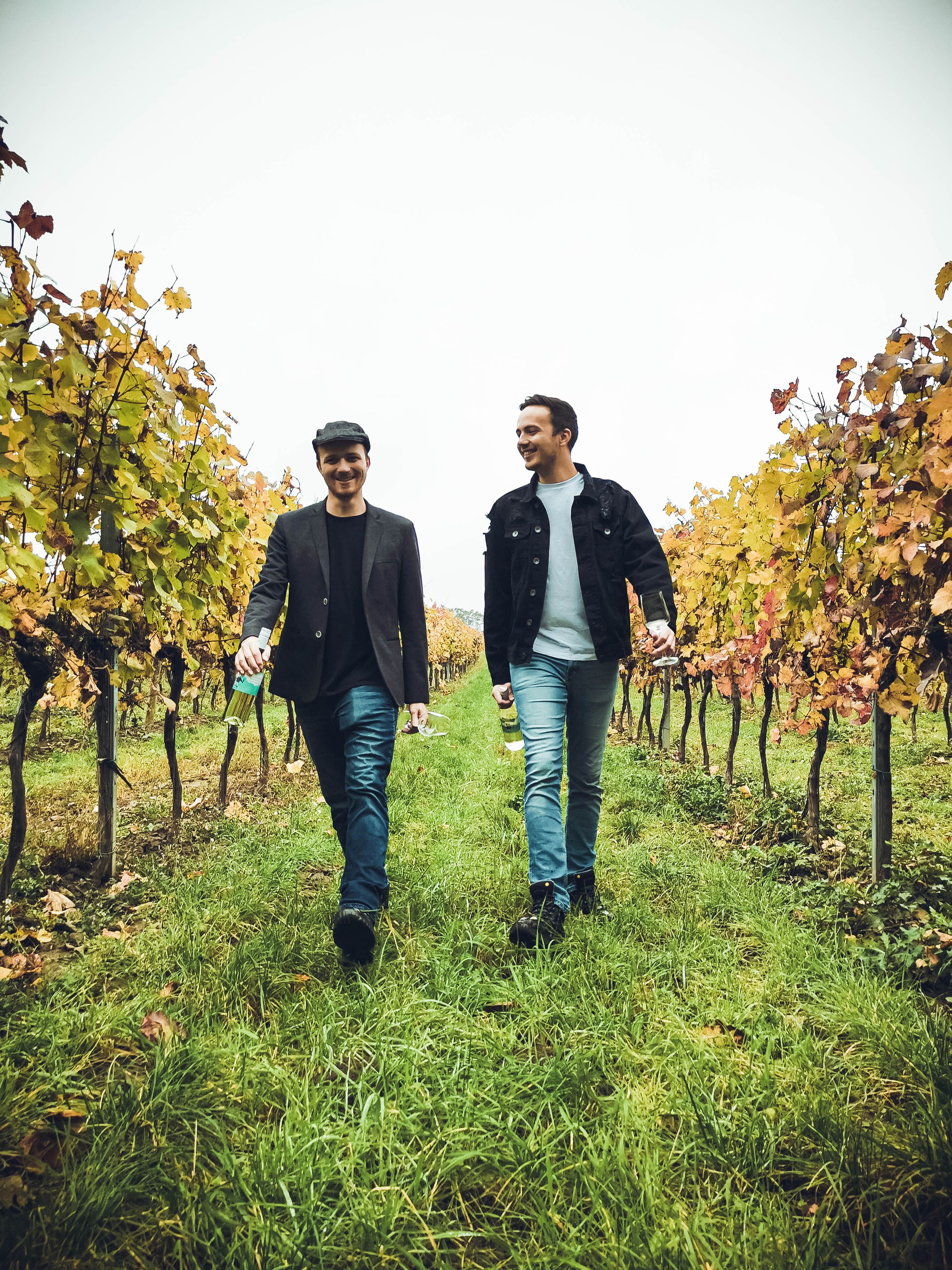 Two men walk through a vineyard with fall leaves.
