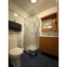 Bathroom with shower, toilet and washbasin.