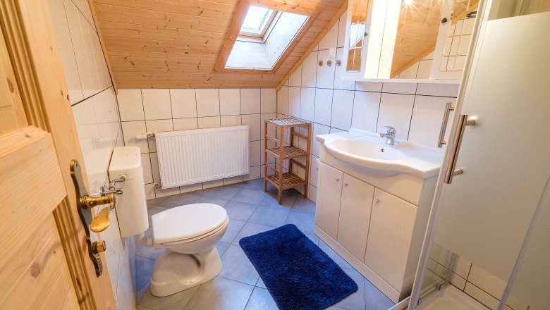 Bathroom with sloping ceiling, washbasin, toilet, shower and blue carpet.