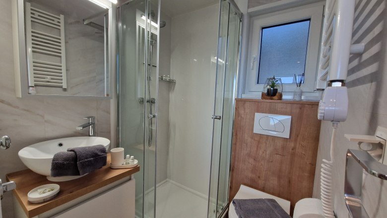 Modern bathroom with shower, washbasin and toilet.