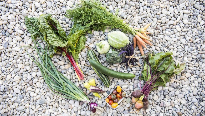 Various vegetables arranged on pebbles.
