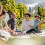 Group of people having a picnic in the vineyard with wine glasses.