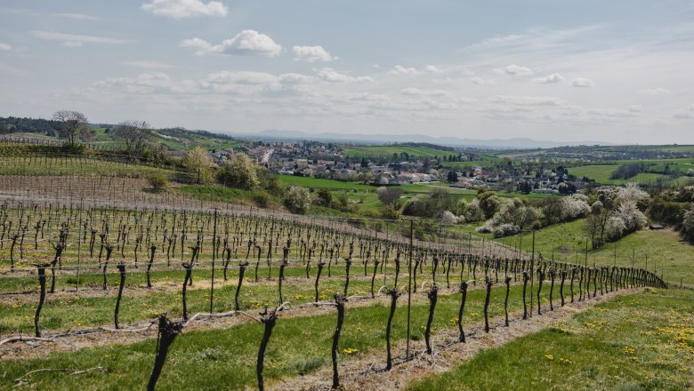 Vineyards with village in the background under a blue sky.