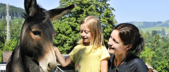 Go on a donkey safari!, © Naturparke Niederösterreich/Robert Herbst