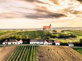 Wald & Reben Radtour, &copy; Weinviertel Tourismus, www.pov.at