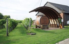 Vineyard with large wooden barrel and information boards in Hohenruppersdorf.