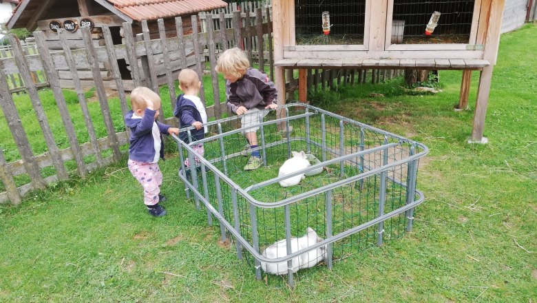 Three children are standing next to a small enclosure with white rabbits in a meadow.