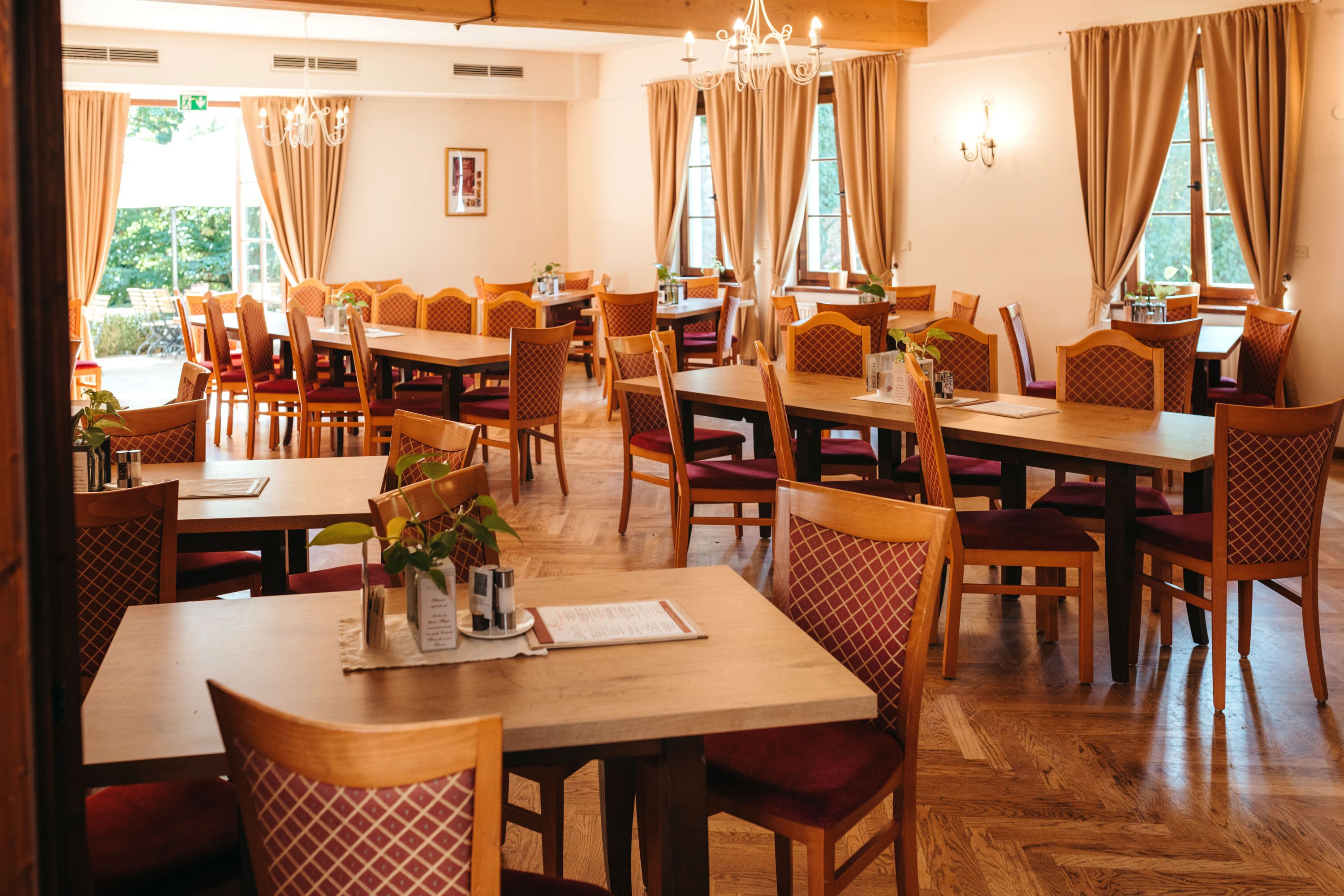 A cozy restaurant with wooden tables and upholstered chairs, decorated with plants and menus.
