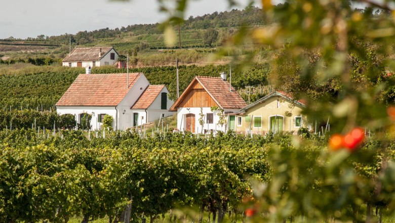 Feuersbrunn wine cellar lane, Wagram, © Niederösterreich Werbung/Discover Austria