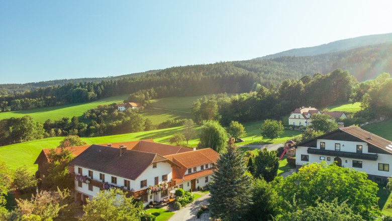 Rural landscape with houses, meadows and forest in the background.