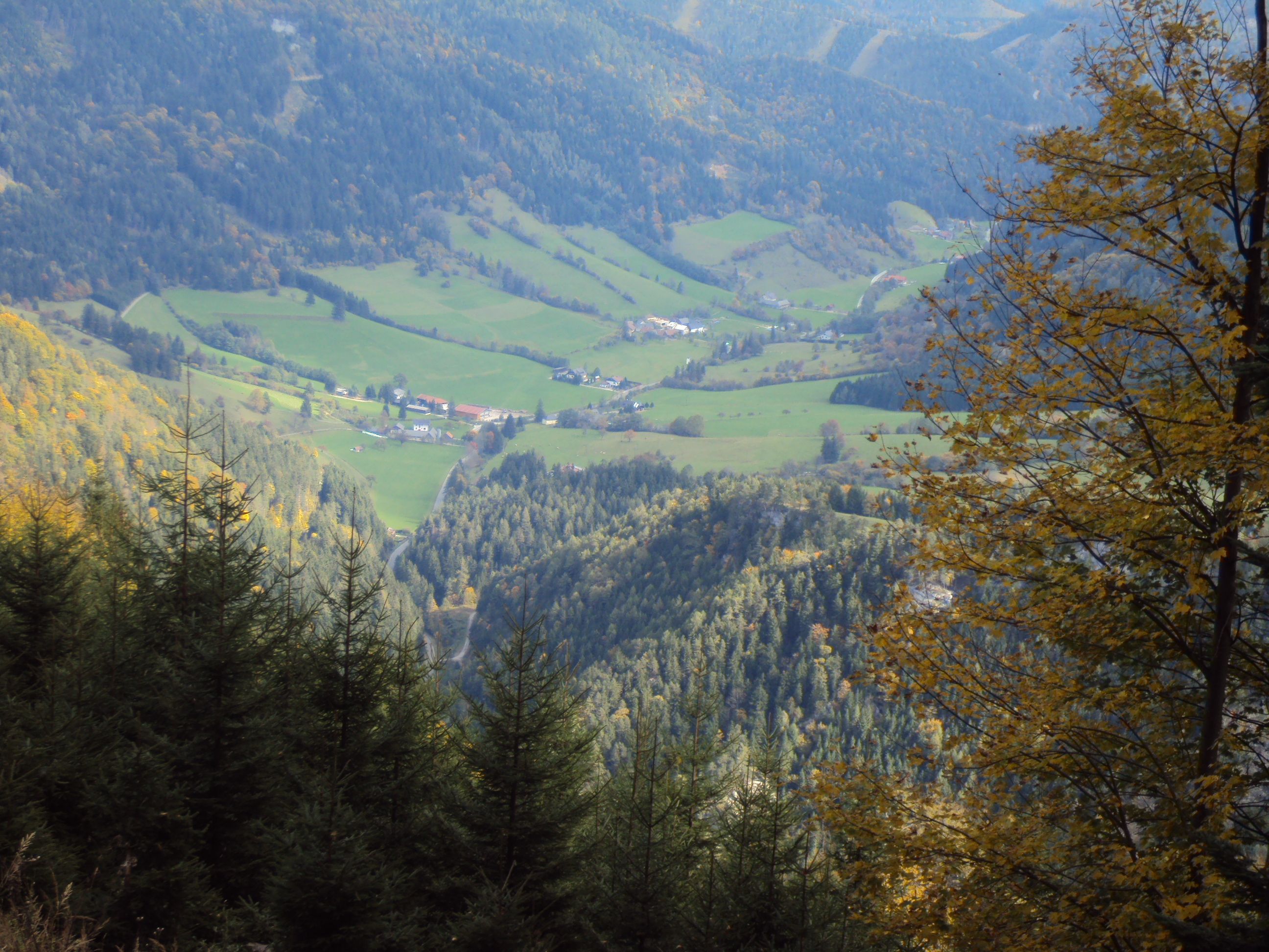 Landscape