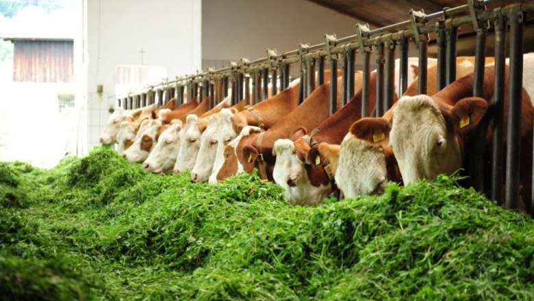 Stable, © Biobauernhof Dangl, Robert Herbst