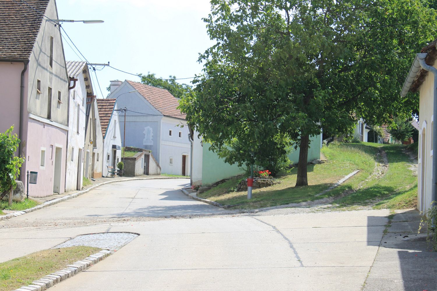 A picturesque wine cellar lane with traditional houses and a tree on a sunny day.