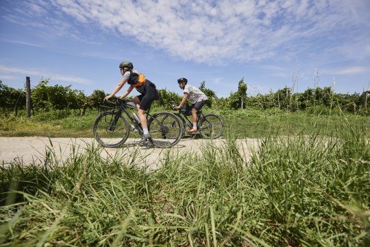 Highly motivated on the last few kilometres of the Kamp-Thaya-March cycle route, © Stefan Mayerhofer