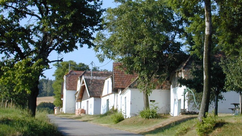 A rural street with white houses and trees on a sunny day.