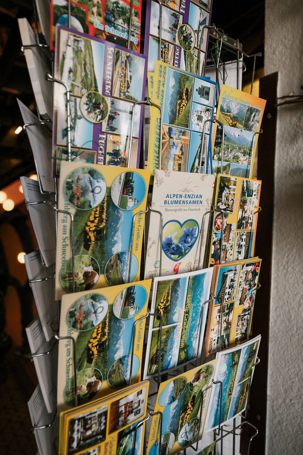 Postcard stand with postcards of the Schneeberg at the Berghaus Hochschneeberg