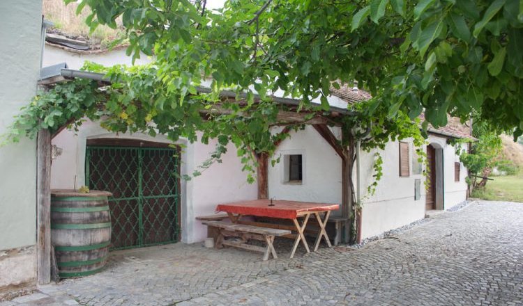 A traditional wine cellar with a wooden table and wine barrel, surrounded by green leaves.