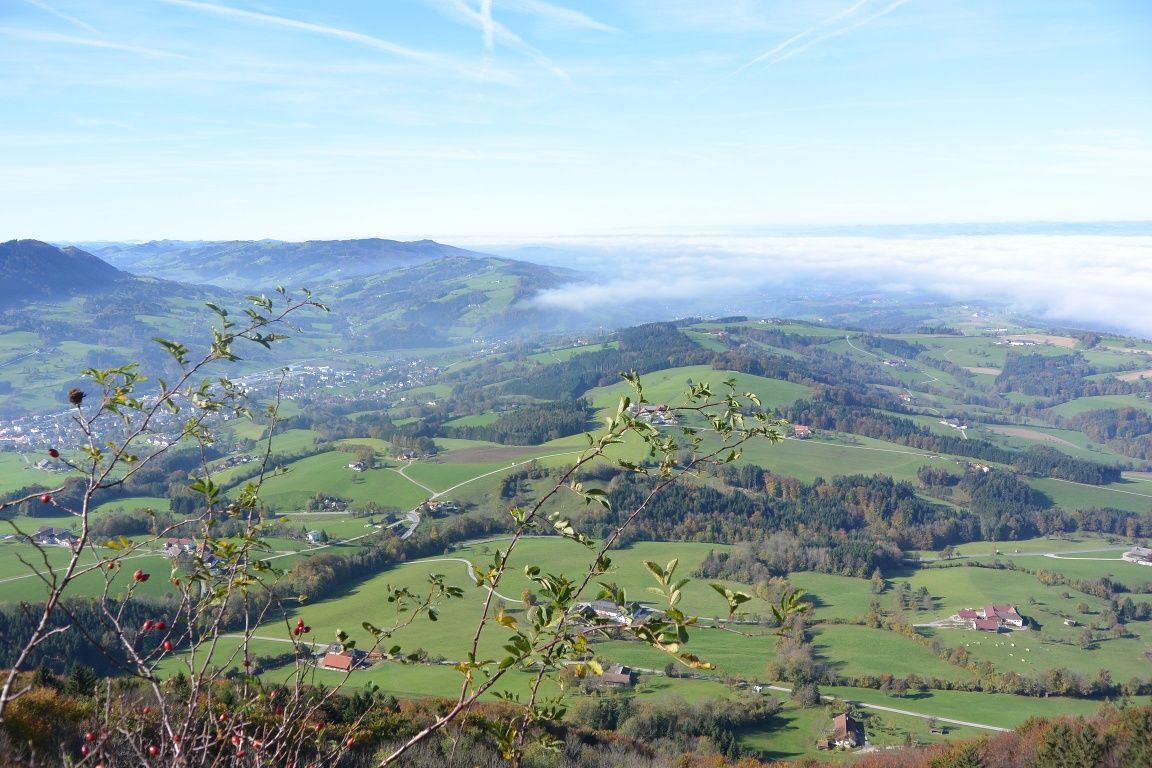 View from the Blassenstein