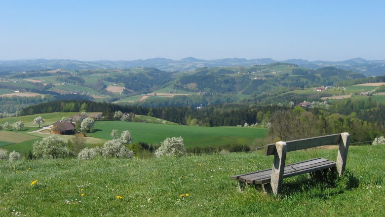 Bench on the Kollmitzberg, © Bianka Heiland