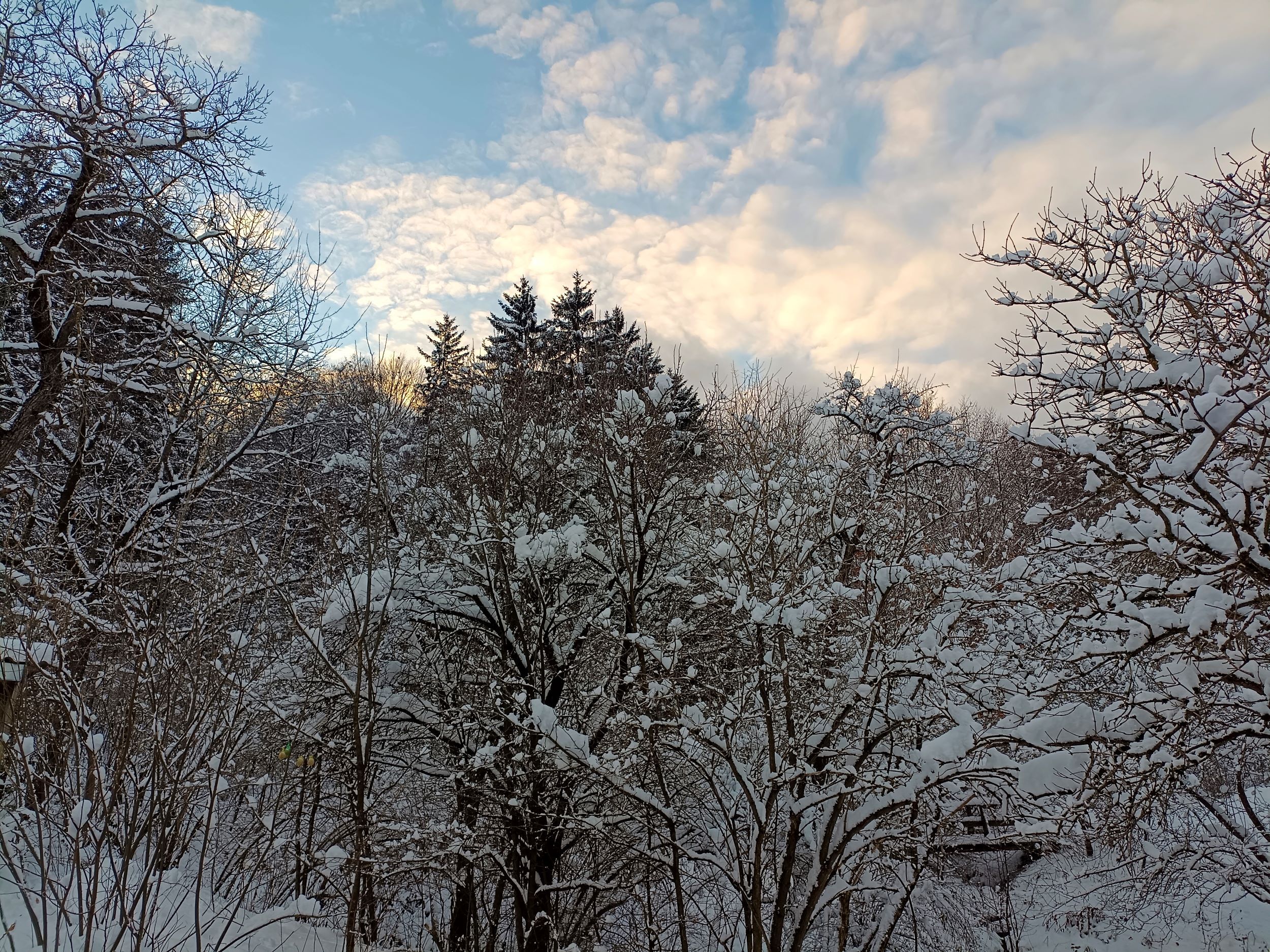 Wonderful winter at 1000Krauthof