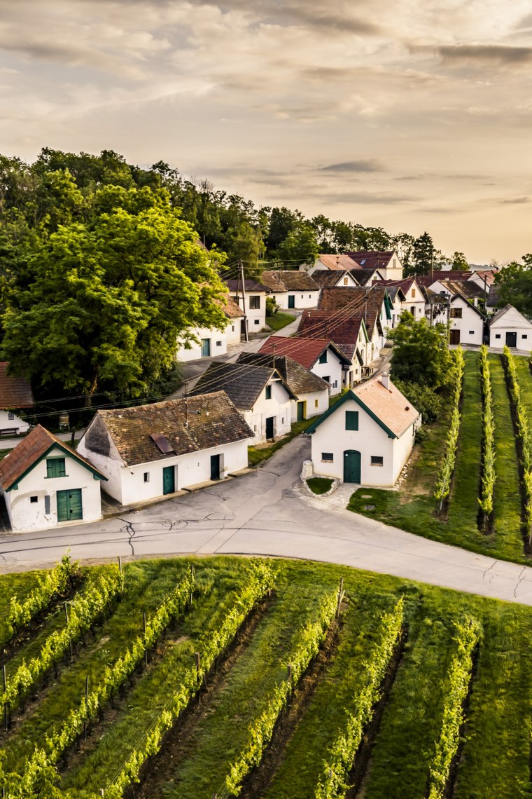 Wine has been produced here for centuries., © Niederösterreich Werbung/Robert Herbst