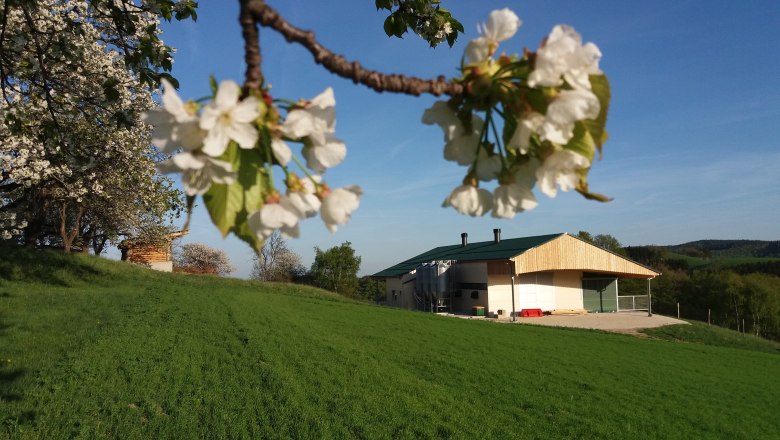 A modern turkey shed on a green meadow, surrounded by blossoming trees under a blue sky.