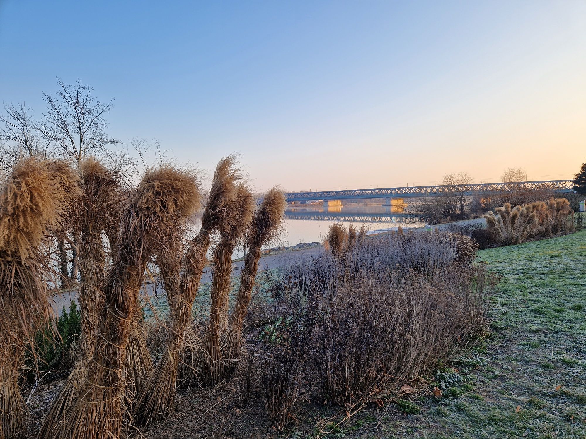 A bridge over the Danube in the background, surrounded by bare trees and frozen grass in the foreground.