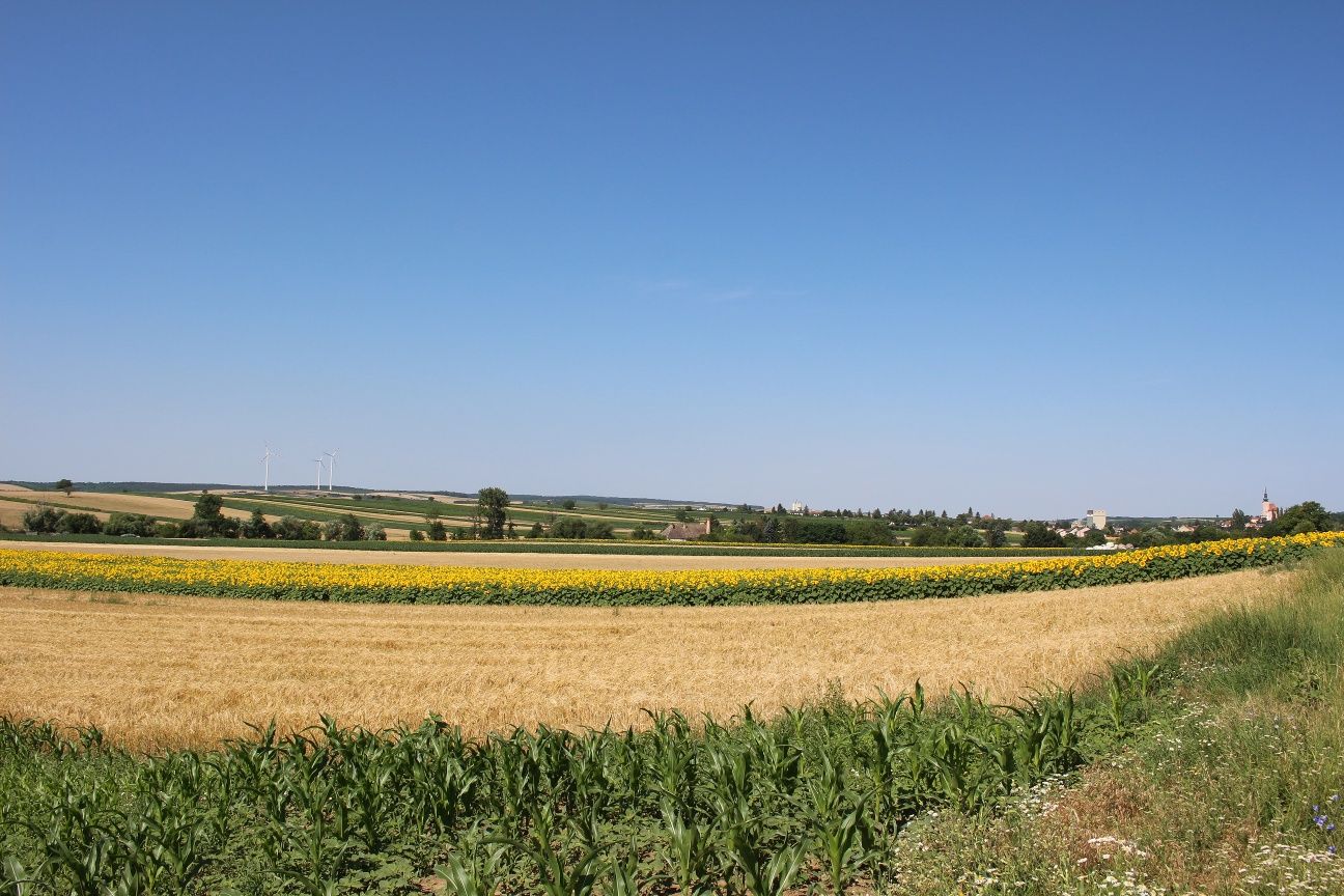 Family cycle route