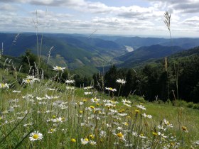 Ausblick Fr&uuml;hling, &copy; Wachau-Nibelungengau-Kremstal