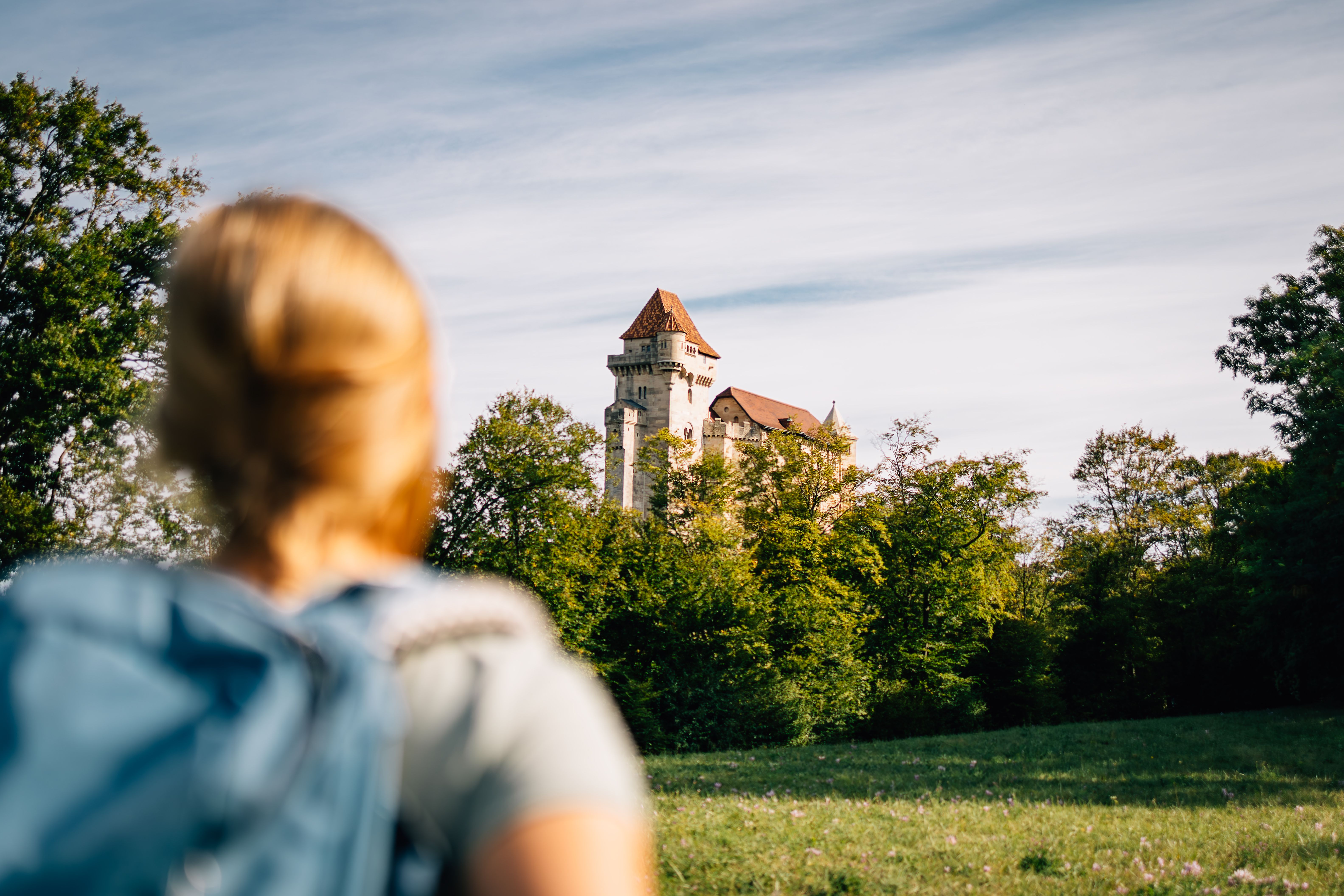 Liechtenstein Castle in the middle of green forests at sunset.