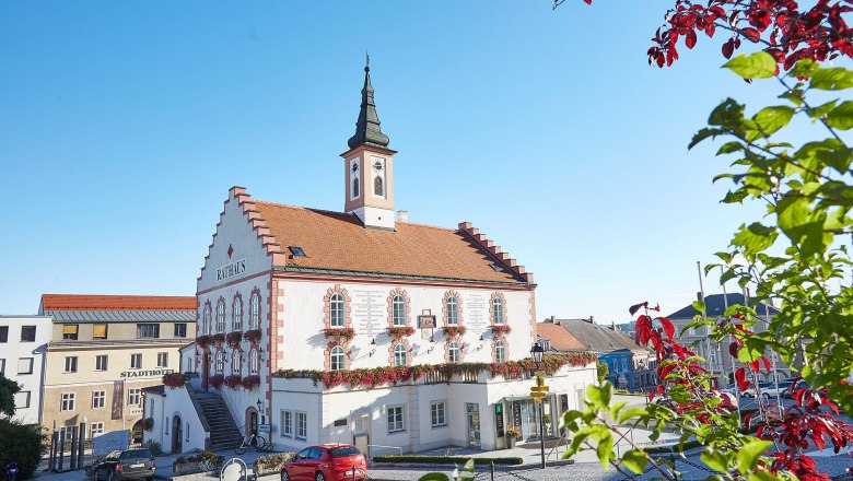 Waidhofen an der Thaya town hall with flowering plants in the foreground.