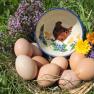 Eggs from the organic farm, © Sabine Baumann
